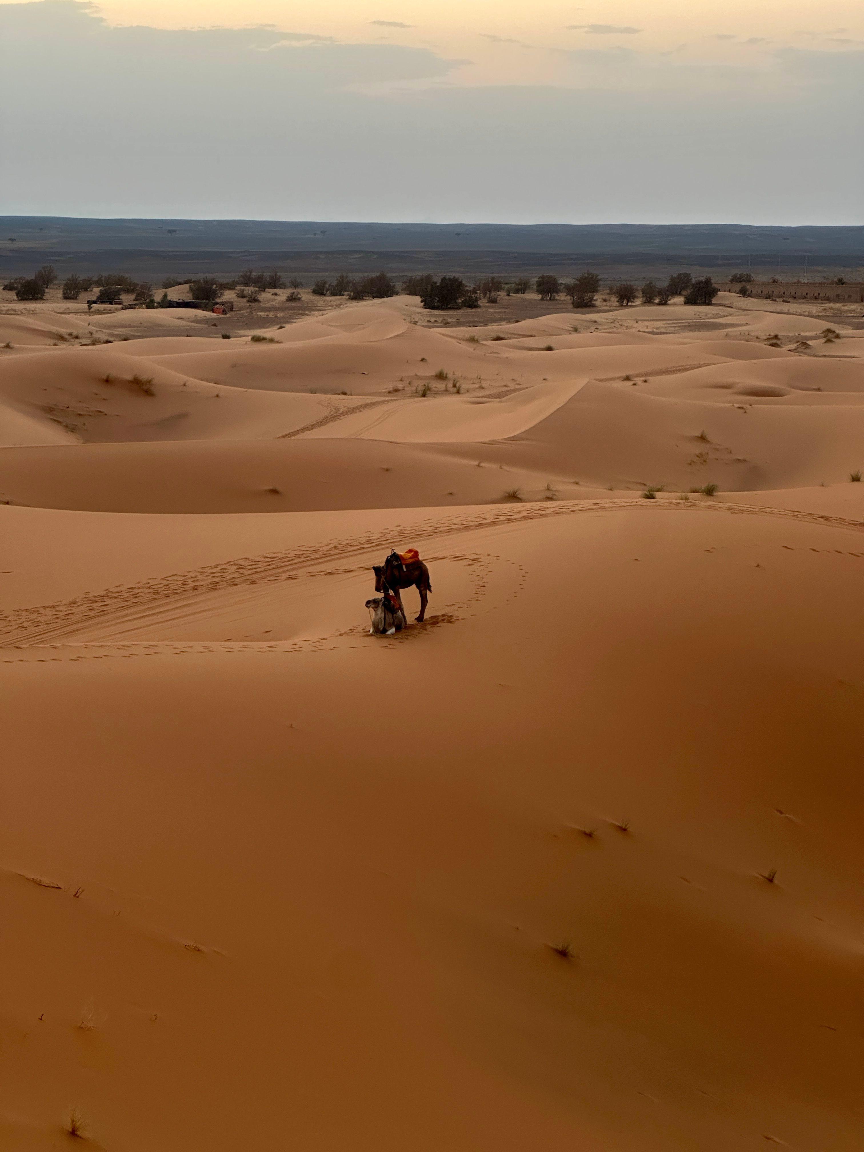 3-tägige Wüstentour von Agadir nach Erg Chegaga