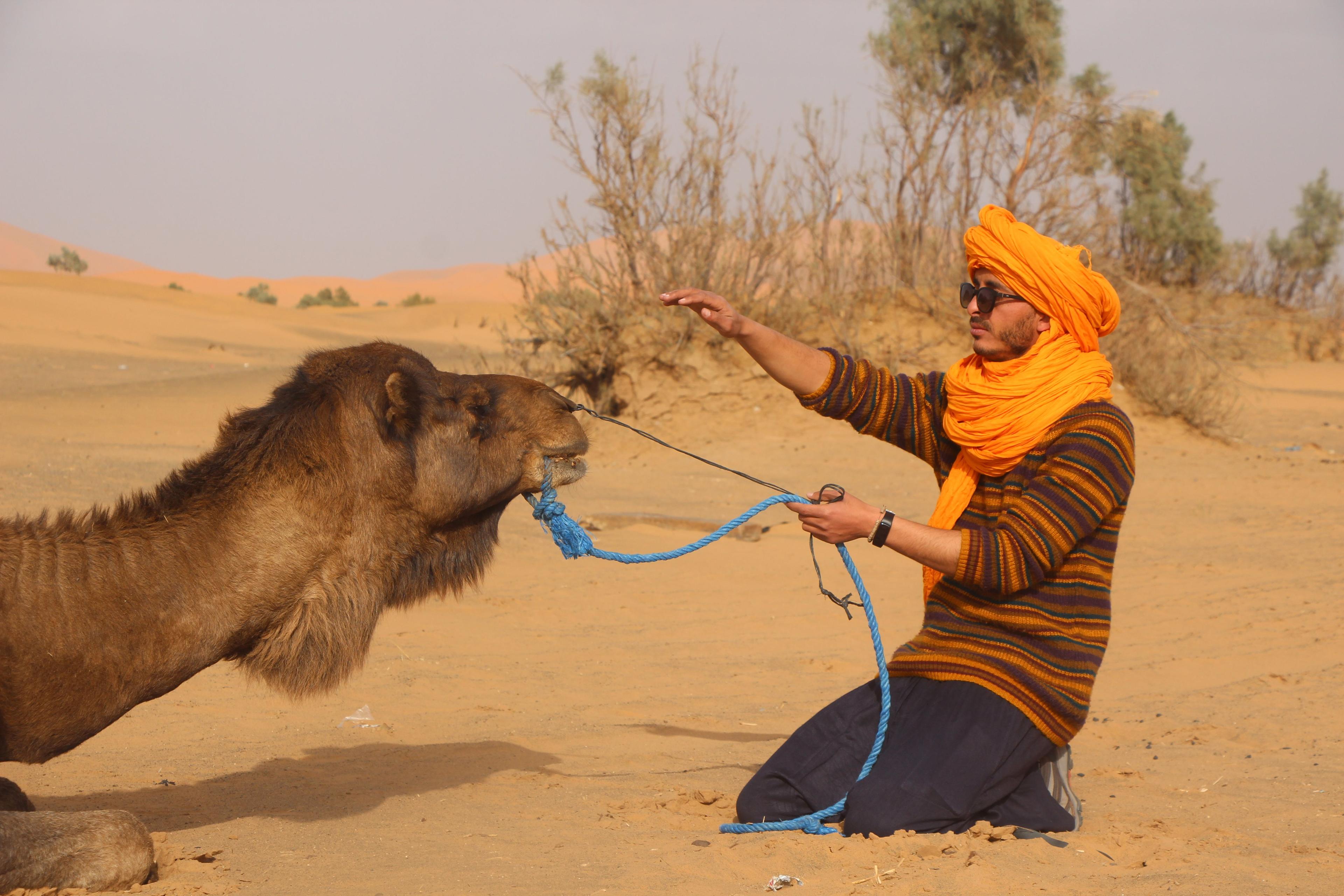 Tour del Deserto di 4 Giorni da Marrakech a Merzouga