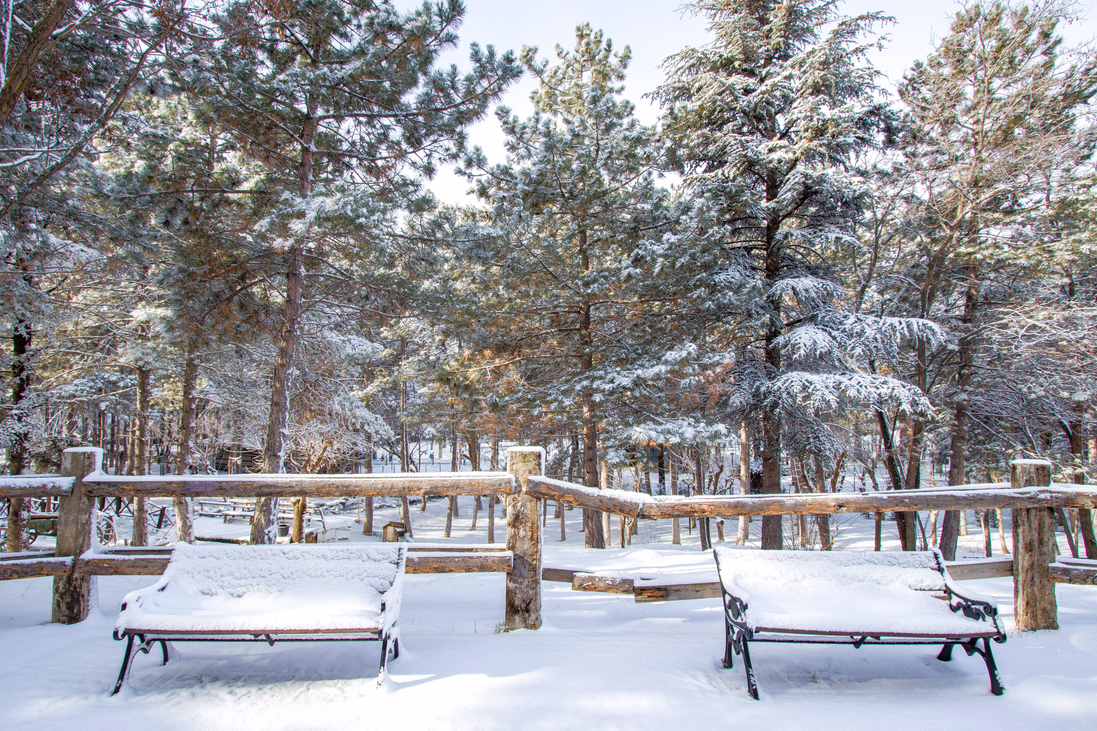 Ifrane & Mittlerer Atlas Zedernwald Tagesausflug von Fes